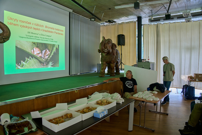 V pražské zoo