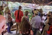 V pražské zoo