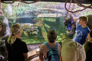 V pražské zoo