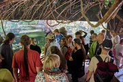 V pražské zoo