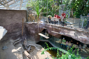 V pražské zoo