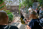 V pražské zoo